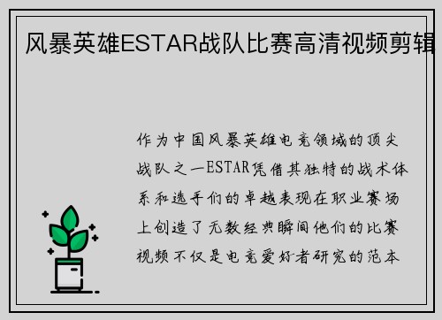 风暴英雄ESTAR战队比赛高清视频剪辑