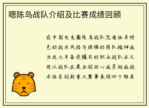 嗯陈鸟战队介绍及比赛成绩回顾